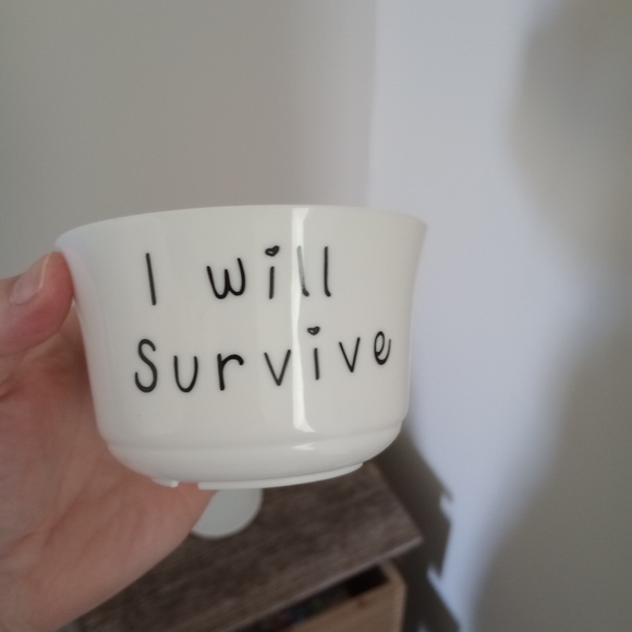 .Succulent, Cactus, Small Plants 4" Plastic Pot , Container, With Drain Holes - Picture 4 of 6